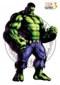 Marvel vs Capcom 3 Hulk.jpg