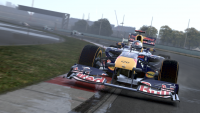 F1 2011 captura13.png