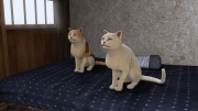 Ryu Ga Gotoku Ishin - Another Life - Pets (3).jpg