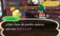 Pantalla ordenanzas Animal Crossing New Leaf N3DS.jpg