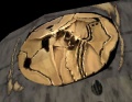 Dragon Crest (Saga) Ruinsfloor 002.jpg