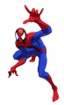 Spiderman (Marvel vs Capcom) 001.jpg
