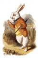 Conejo blanco Alicia Wonderland.jpg