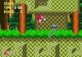 Sonic&Knuckles (MegaDrive) 002.jpg