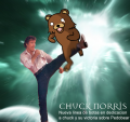 Chuck norris vs pedobear by darkmindalchemist-d2ymgjy.png