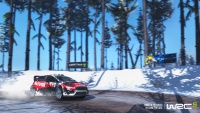 WRC5 JulioImg02.jpg