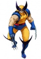 Wolverine Marvel vs Capcom 001.jpg