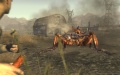 Fallout New Vegas Imagen (11).jpg